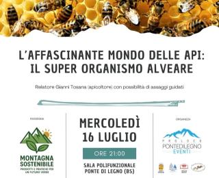PARK SIDE Apartment - Ponte di Legno - 6