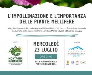 PARK SIDE Apartment - Ponte di Legno - 5