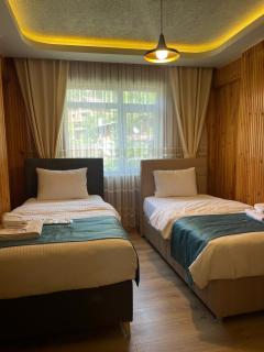 Ela Apart Otel - Çamlıhemşin - 9