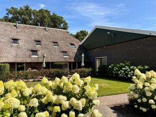 De Veurdeale - Havelte - 3