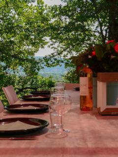 Villa face au Mont Bouquet - Servas - 5