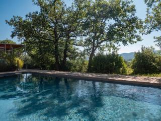 Villa face au Mont Bouquet - Servas - 8