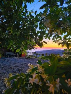 Il Ligustro - Casal Sottano - 5