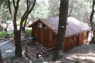 Alivi Di A Restonica - Corte - 8