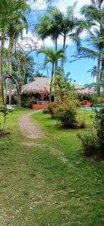 Maison Typique caribeenne avec piscine, jardin tropical au calme - Las Terrenas - 0