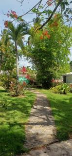 Maison Typique caribeenne avec piscine, jardin tropical au calme - Las Terrenas - 7
