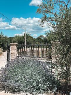 Holiday Home Sofia - quiet village&quick highway close to Biograd na Moru and Zadar - Benkovac (Bencovazzo) - 4