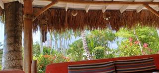 Maison Typique caribeenne avec piscine, jardin tropical au calme - Las Terrenas - 5