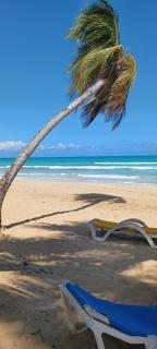 Maison Typique caribeenne avec piscine, jardin tropical au calme - Las Terrenas - 4