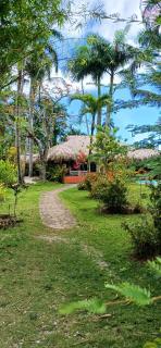 Maison Typique caribeenne avec piscine, jardin tropical au calme - Las Terrenas - 1