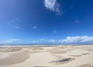 L oree du sable studio avec place de parking au coeur du triangle d Or - Le Touquet-Paris-Plage - 8