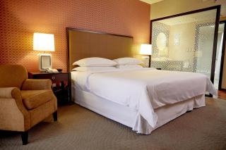 Hotel World Wide Suite Near IGI Airport - Neu-Delhi - 4