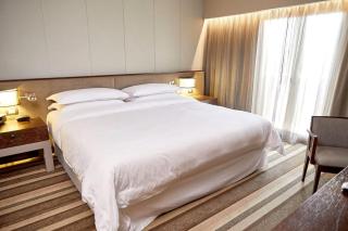 Hotel World Wide Suite Near IGI Airport - Neu-Delhi - 6