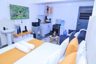 A cozy studio in Kamakis, Ruiru - Ruiru - 4
