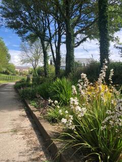 The Lodge - Tenby - 4