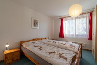 Chalet Capricorn - Bettmeralp - 0