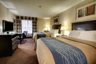 Comfort Inn & Suites La Grange - La Grange - 9