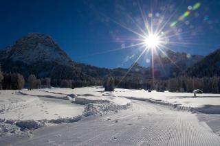 Appartament Alpenheim - 4