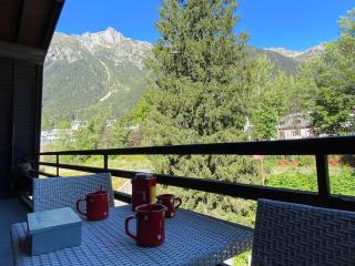 Superbe appartement 3 étoiles à Chamonix, 2 chambres, balcon, cheminée déco, parking et Wi-Fi - FR-1-343-197 - 3