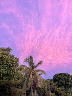 Le petit relais - Nosy Be - 4