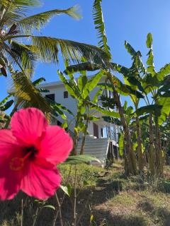 Le petit relais - Nosy Be - 1