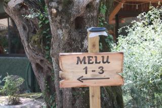 Alivi Di A Restonica - Corte - 3