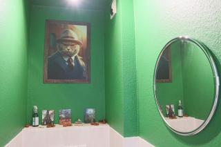 LE DUPLEX BORDERLINE , balade au bord du Rhin - 3