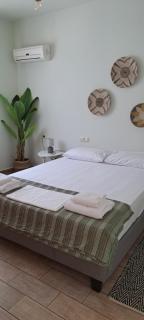 Villa Erietta near Lefkas center - Città di Lefkada - 1