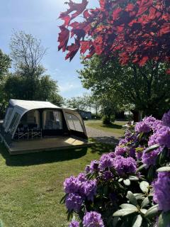 Himmerland camping & Feriecenter - Års - 9