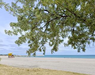Blue Paradise - 5