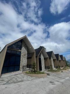 Villa Napoleon Dieng - Kejajar - 9