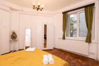 The Walter Salon Unirii Square - Spacious and Ultracentral - Bucharest - 2
