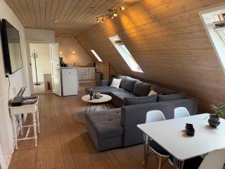 Penthouse apartment in Esbjerg townhouse - 9