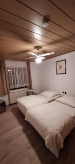 Sharma's Hotel - Ilmenau - 7