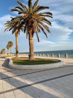 The terrace overlooking the Ionian Sea - 9