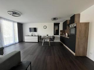 Karlsruhe Finest Apartments - Karlsruhe - 4