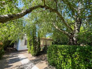 Holiday Home Kiwi by Interhome - Balatonfenyves - 1