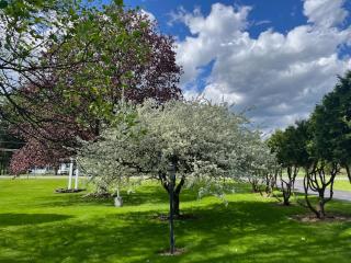 Nightshade Inn & Gardens - Camillus - 1