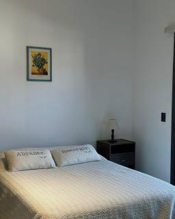 Departamento moderno Drury - San Martín de los Andes - 4