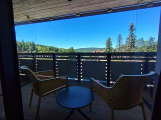 Studio Corso-1 by Interhome - Harrachov - 9