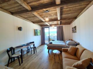 Studio Corso-1 by Interhome - Harrachov - 8