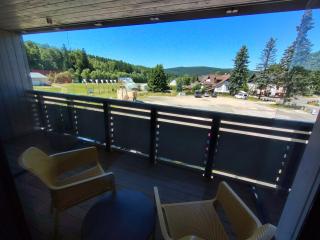 Studio Corso-1 by Interhome - Harrachov - 4
