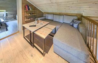 Awesome Home In Vinje With Sauna - Trovatn - 4