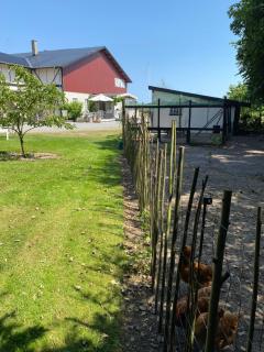 Frederiksensminde Bed & Breakfast - Marrebæk - 3