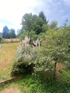 Affittacamere La Quiete - Arona - 4