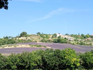 La Bergerie en Provence - Puimichel - 0