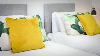 Jungle King Suite with Parking - Bedford - 8