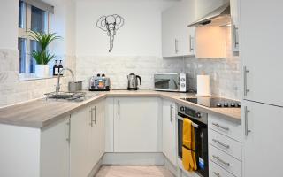 Jungle King Suite with Parking - Bedford - 9