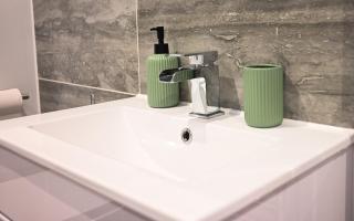Jungle King Suite with Parking - Bedford - 3