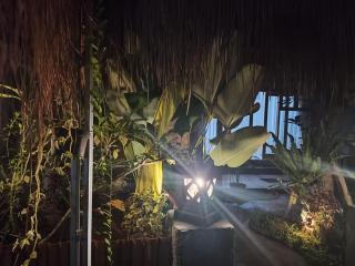 Kayana menjangan bungalow - Banyuwedang - 0